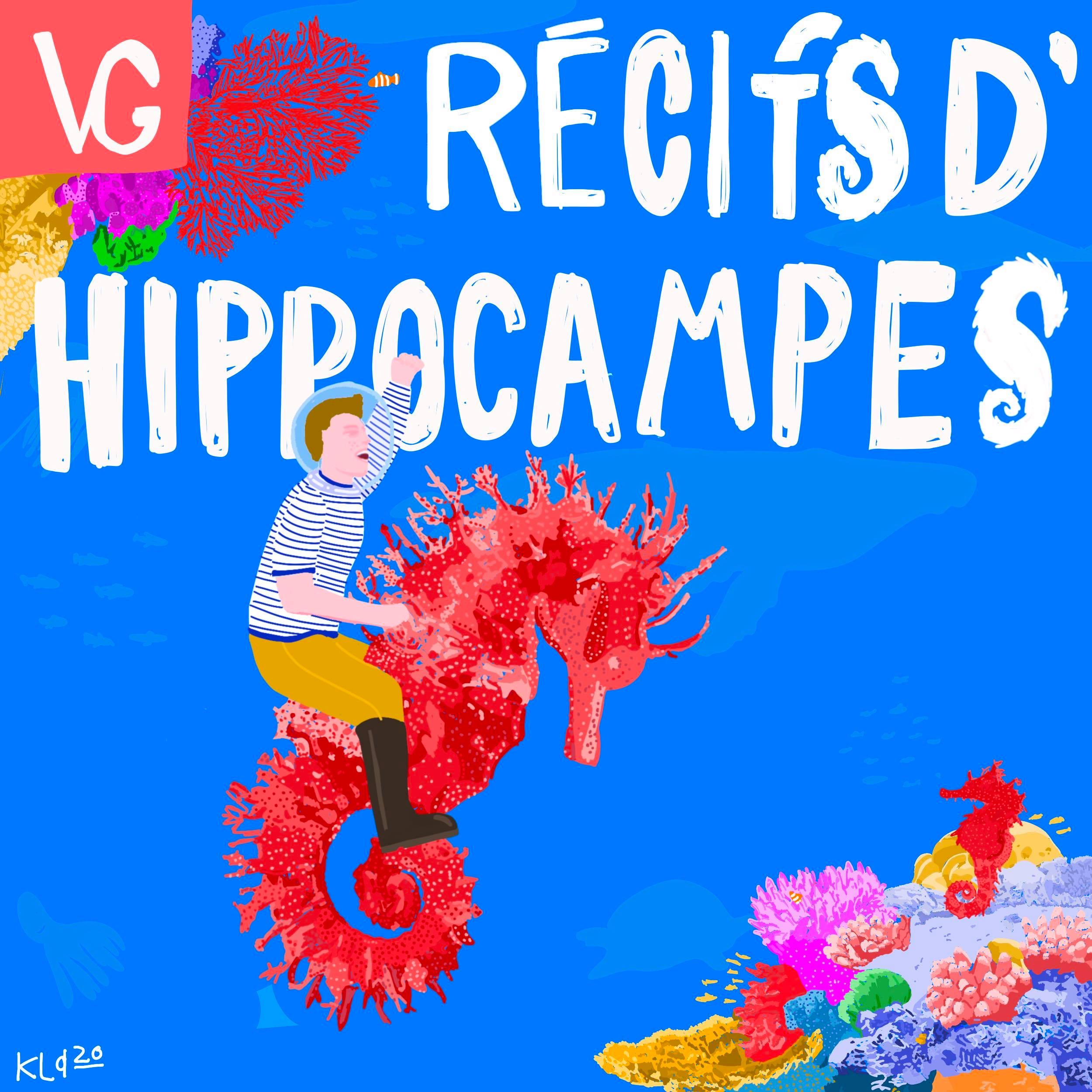 VG-recits-dhippocampes