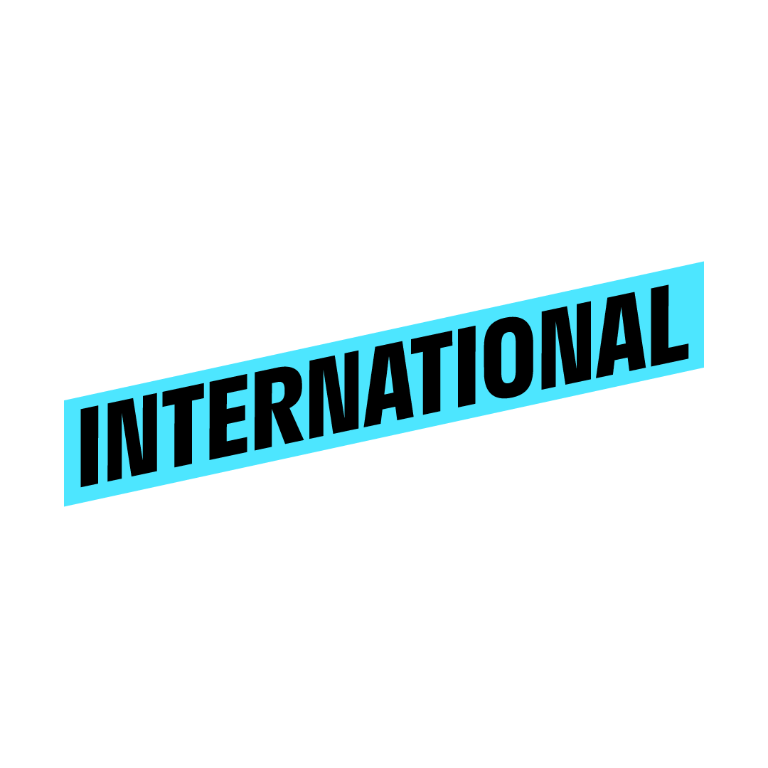 Groupe international VOGAY